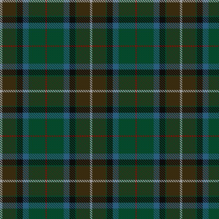 Tartan image: Brinksman, P & Nugent, L (Personal). Click on this image to see a more detailed version.