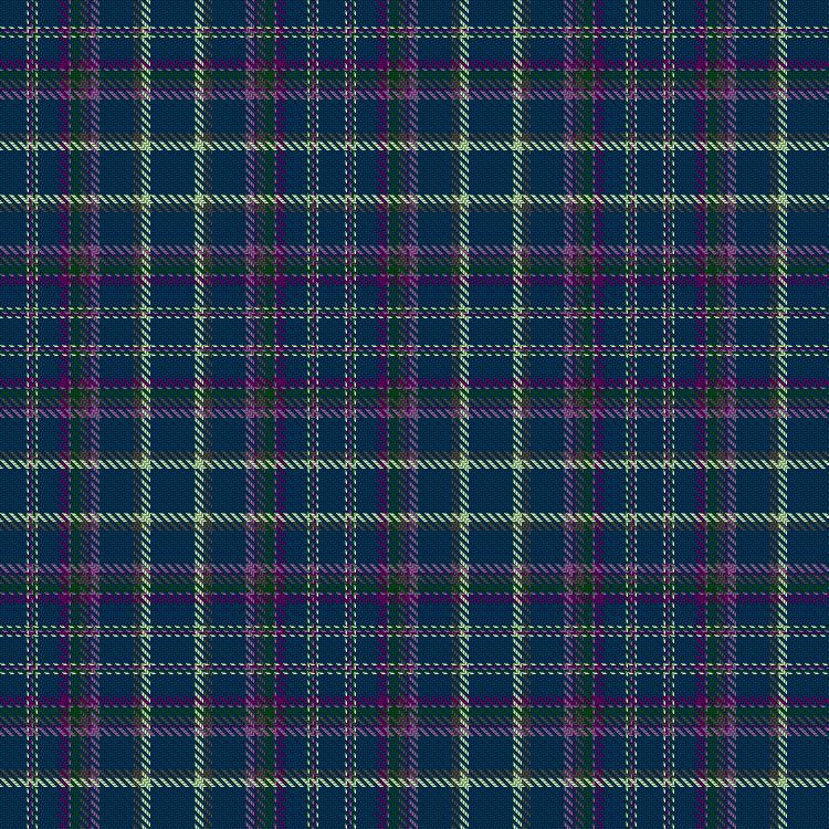 Tartan image: Bicknell, James and Family (Personal). Click on this image to see a more detailed version.