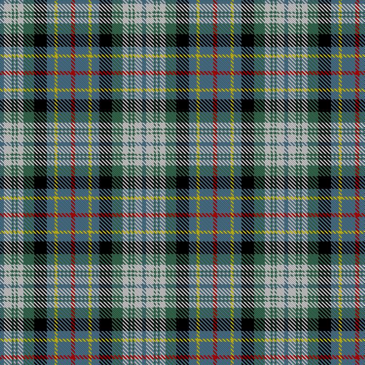 Tartan image: Rinn, P & Family (Personal). Click on this image to see a more detailed version.