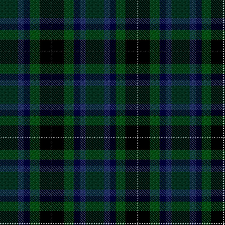 Tartan image: Walsh, Ryan (Personal). Click on this image to see a more detailed version.