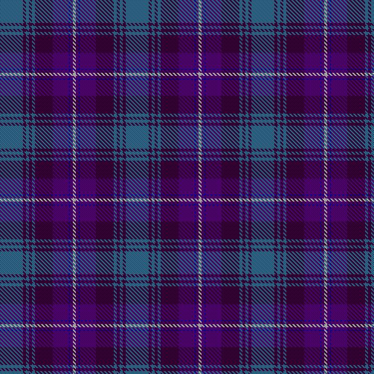 Tartan image: Rurki. Click on this image to see a more detailed version.