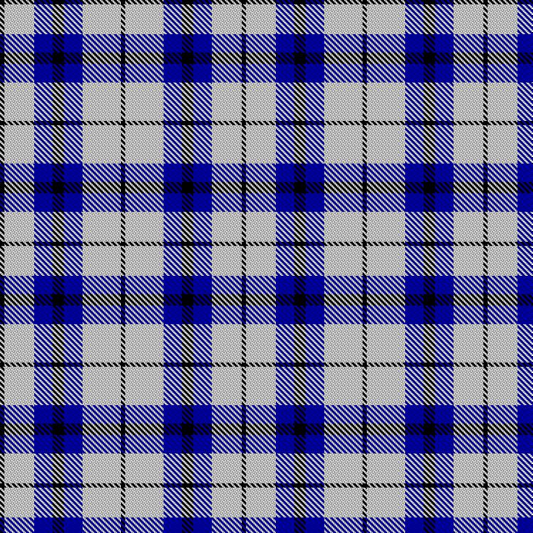 Tartan image: Severson, Kimberly Louise & Family (Personal). Click on this image to see a more detailed version.