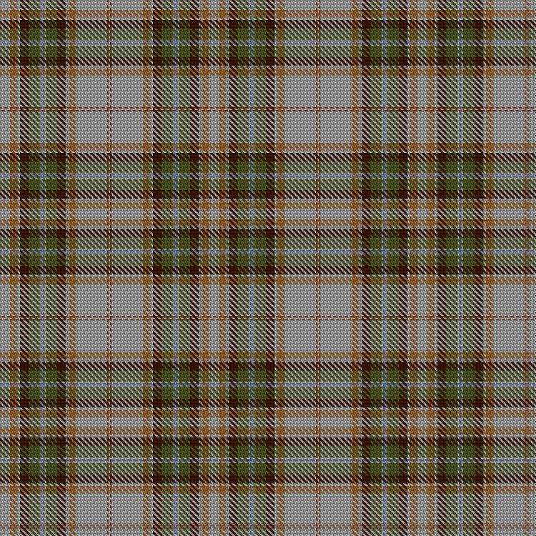 Tartan image: Bertolini Calligaris, Federica (Personal). Click on this image to see a more detailed version.