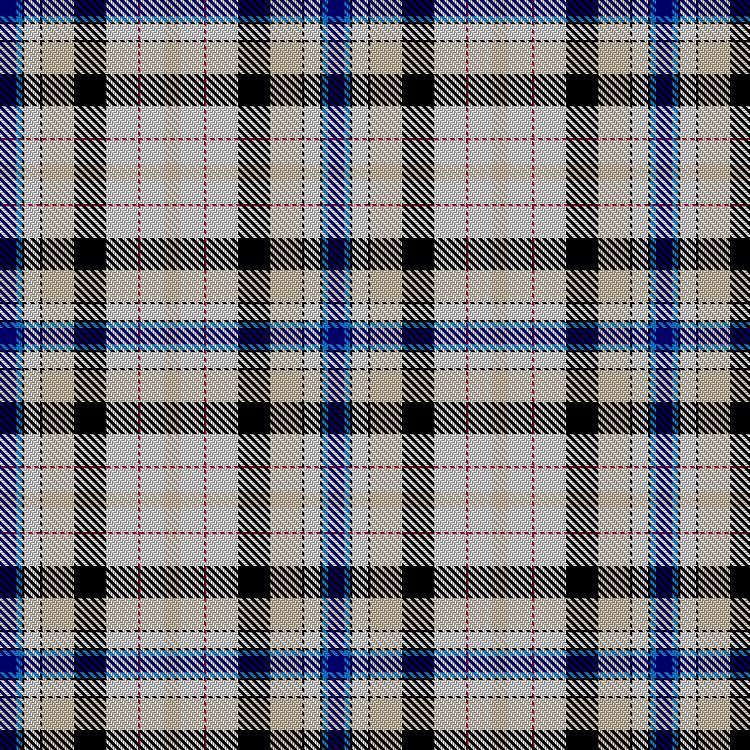 Tartan image: Polar Bear. Click on this image to see a more detailed version.