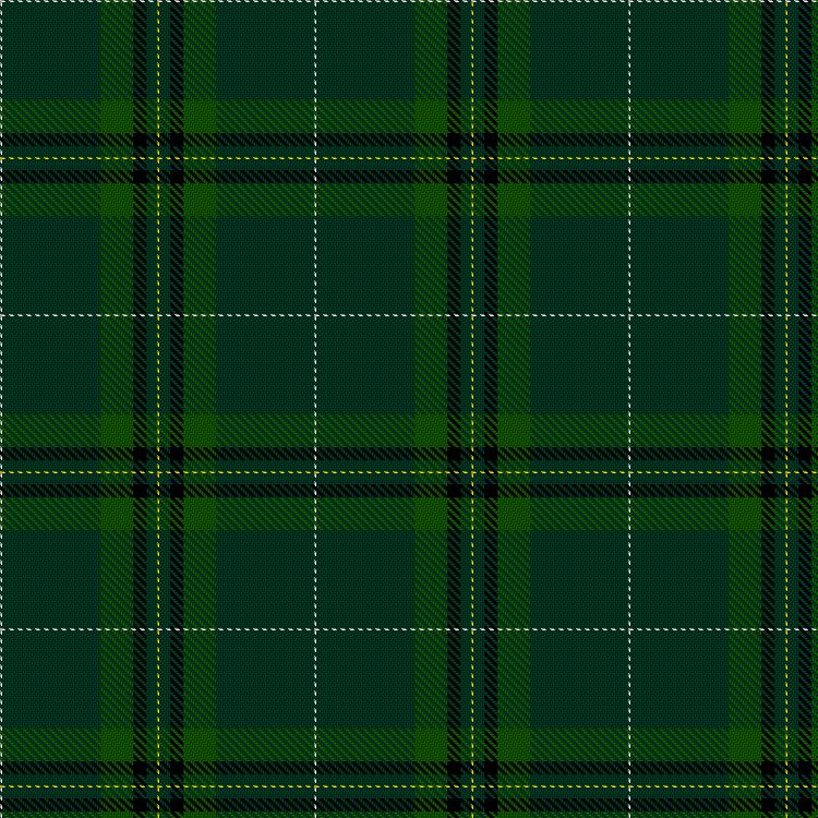 Tartan image: Marshall, Scott & Family (Personal). Click on this image to see a more detailed version.