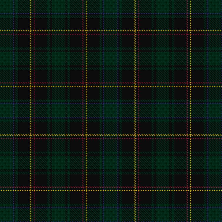 Tartan image: Birss, A Hunting (Personal). Click on this image to see a more detailed version.