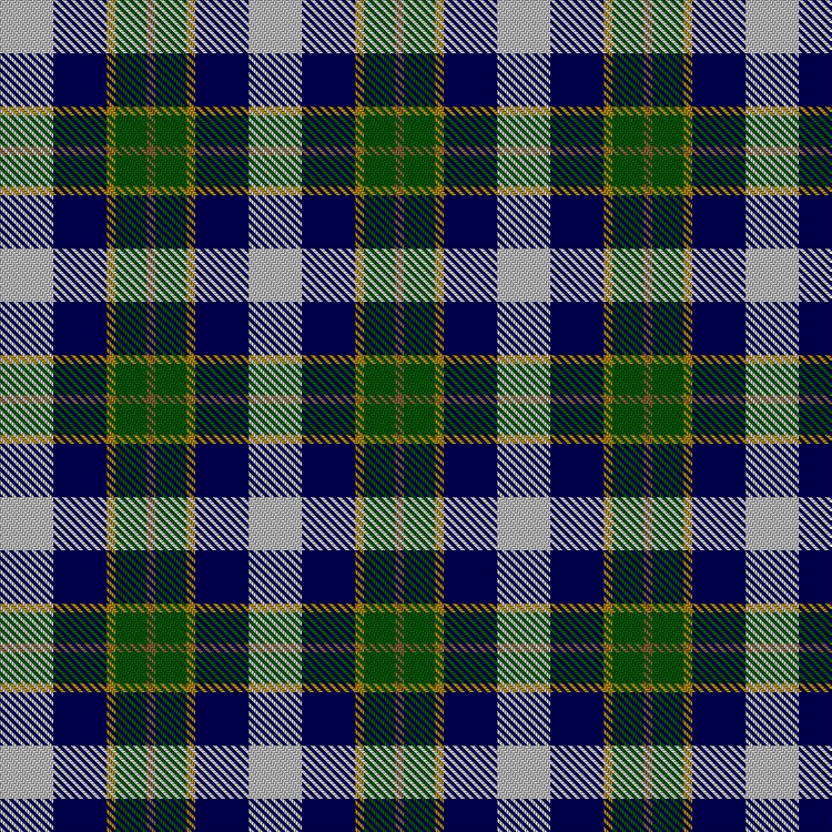 Tartan image: Lam, Cheong Ming & Family (Personal). Click on this image to see a more detailed version.