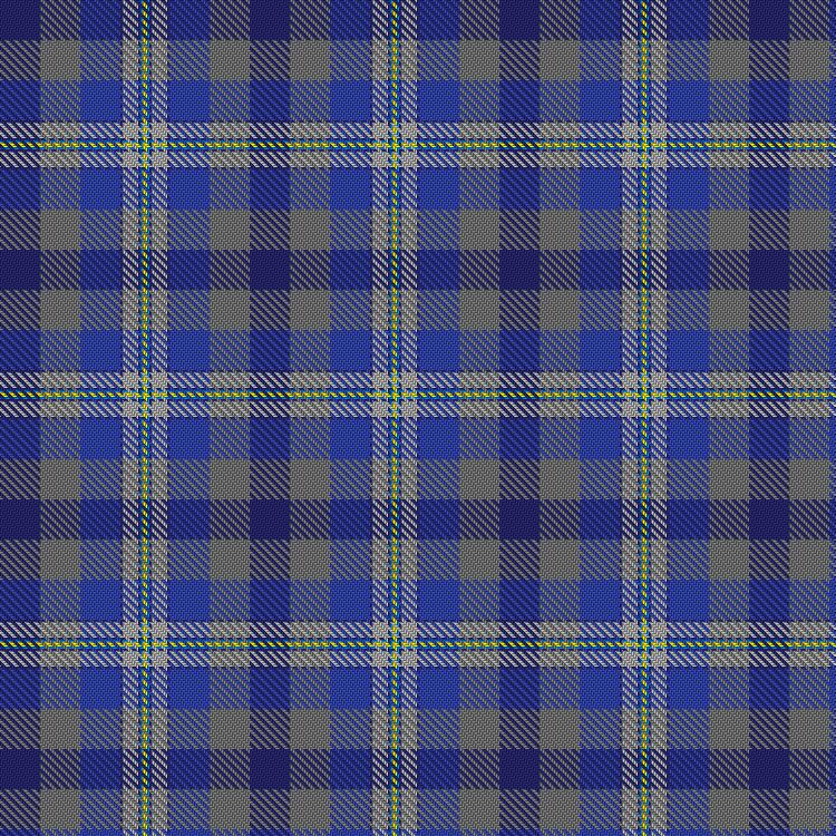 Tartan image: TNP. Click on this image to see a more detailed version.
