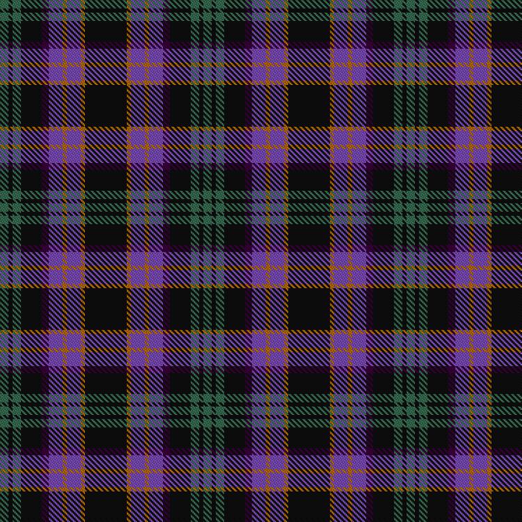Tartan image: Siddiqui, S & Family (Personal). Click on this image to see a more detailed version.
