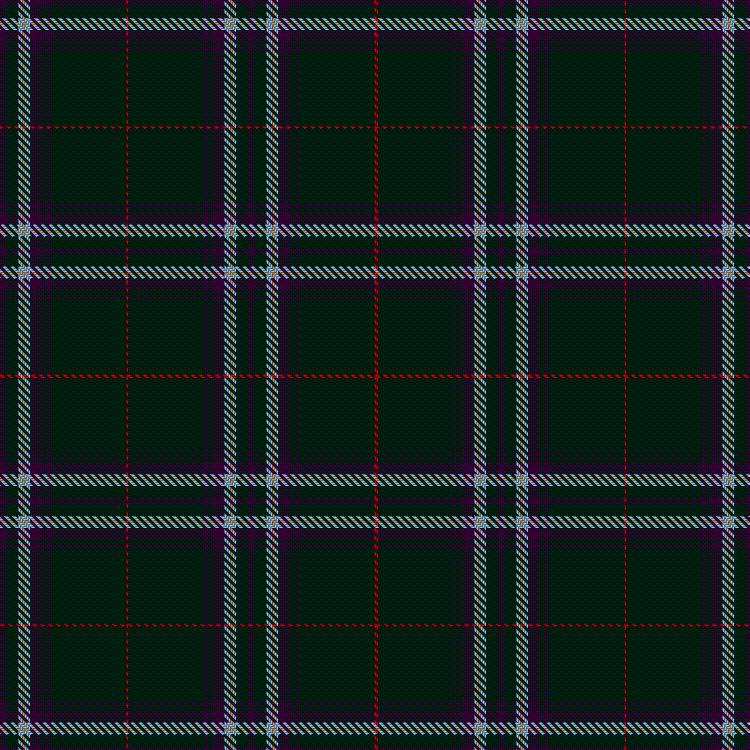 Tartan image: Devlin, David Roddie (Personal). Click on this image to see a more detailed version.