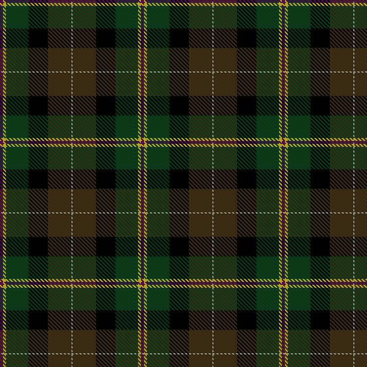 Tartan image: Cauvin, S & Family (Personal). Click on this image to see a more detailed version.