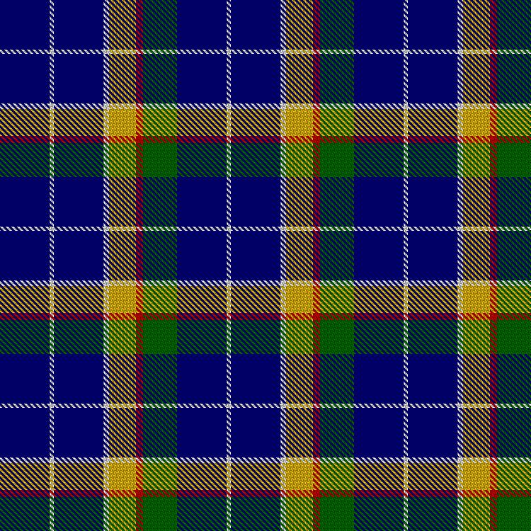 Tartan image: Sanchez, Dan & Family (Personal). Click on this image to see a more detailed version.