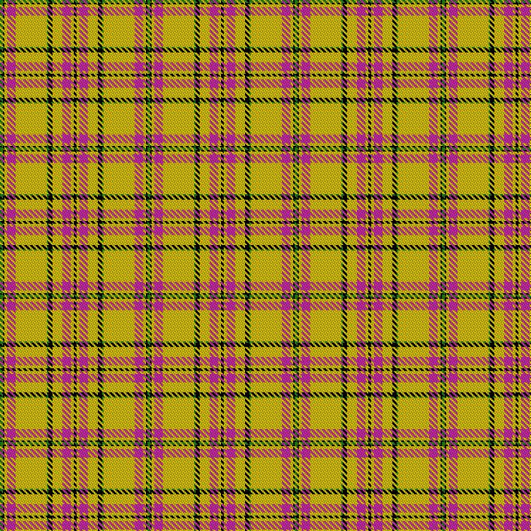 Tartan image: Re:Dress The Brave. Click on this image to see a more detailed version.