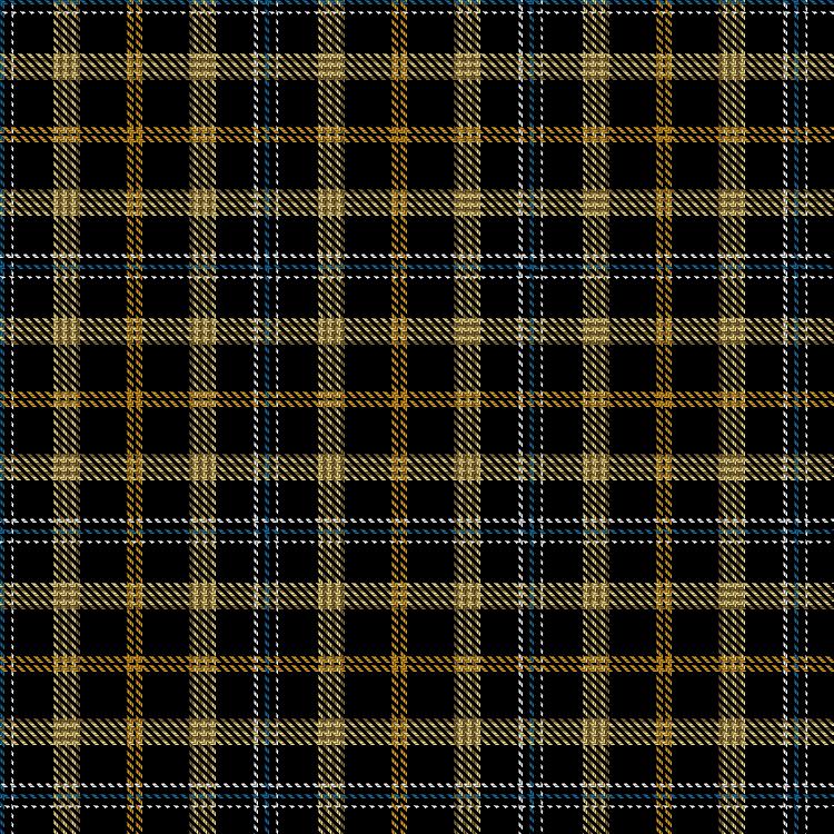 Tartan image: Worshipful Company of Fletchers. Click on this image to see a more detailed version.