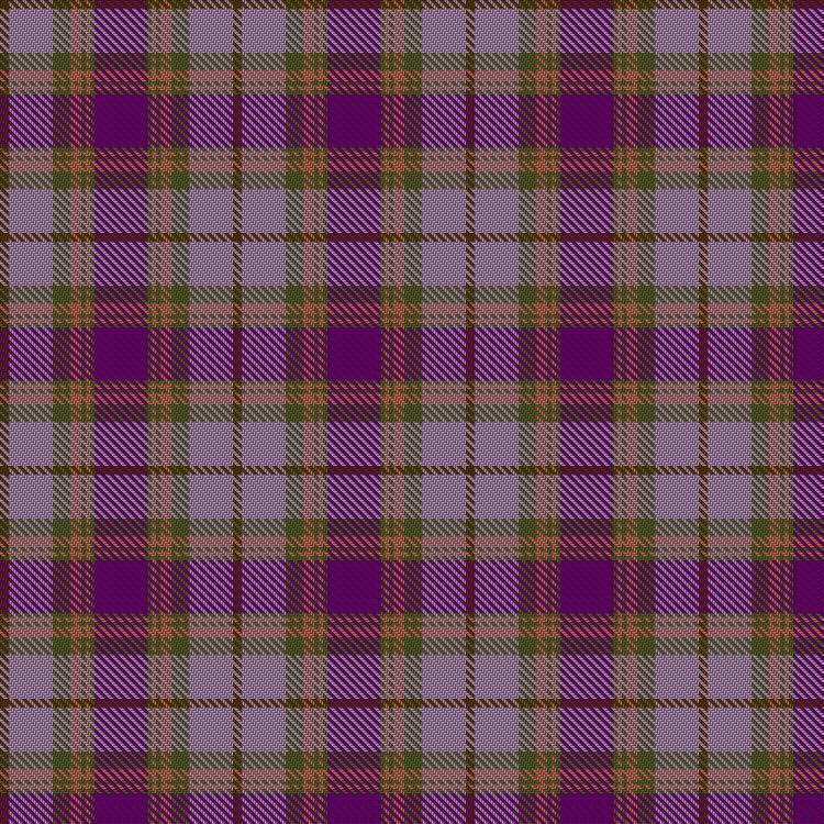 Tartan image: Glen Shee. Click on this image to see a more detailed version.