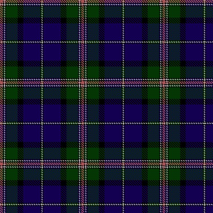 Tartan image: Robson, Steve (Personal). Click on this image to see a more detailed version.