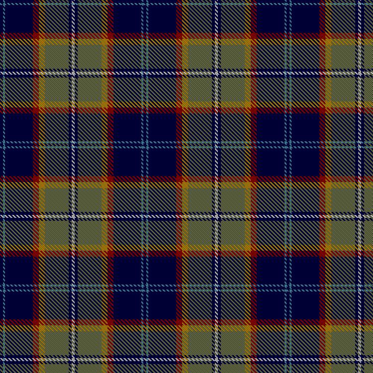 Tartan image: St Andrew's Foundation Poland. Click on this image to see a more detailed version.