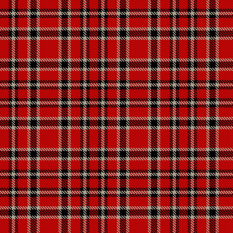 Tartan image: von Feilitzsch, F (Personal). Click on this image to see a more detailed version.