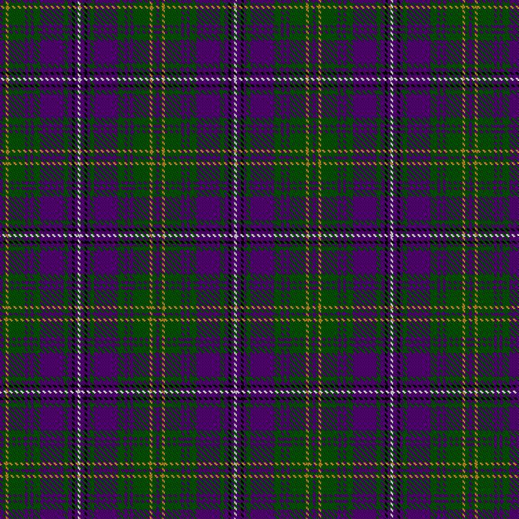 Tartan image: Hay of Megginch. Click on this image to see a more detailed version.