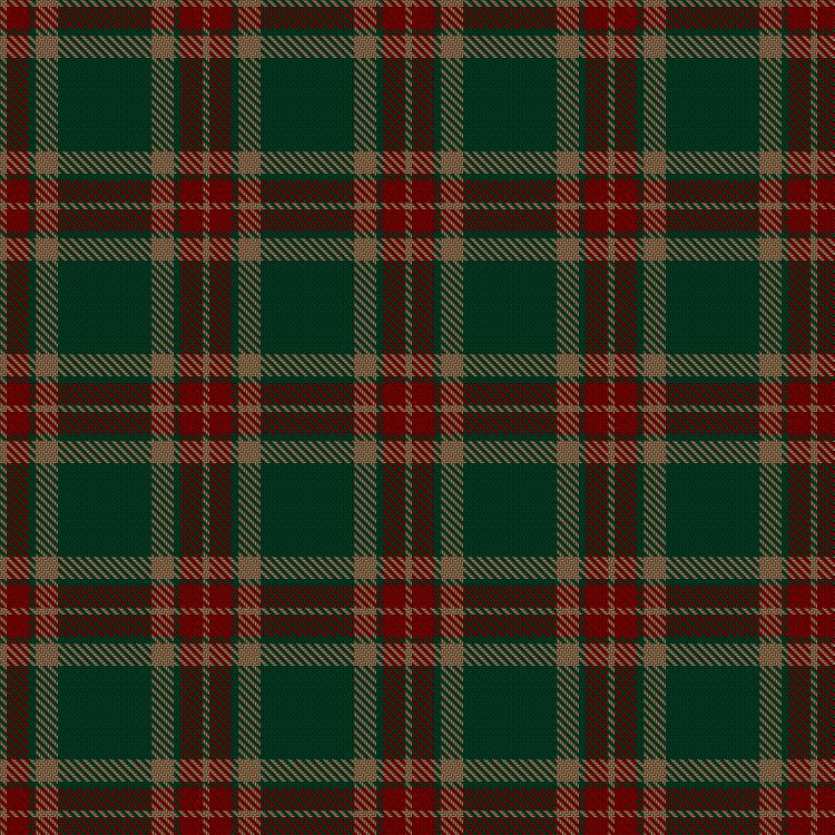 Tartan image: Glen Trool. Click on this image to see a more detailed version.