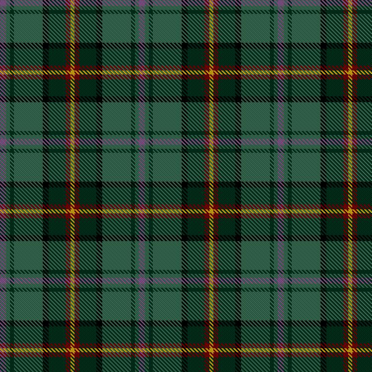 Tartan image: Dartmoor. Click on this image to see a more detailed version.