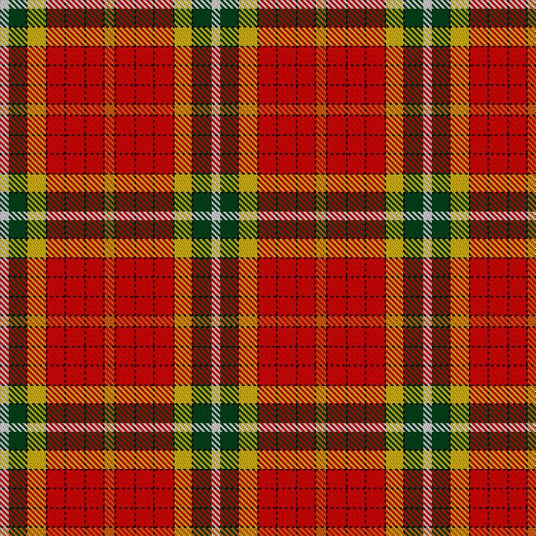 Tartan image: Snakatak (Crieff). Click on this image to see a more detailed version.