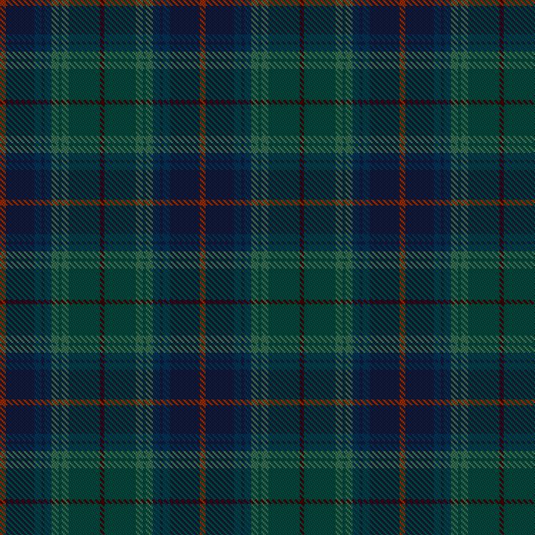 Tartan image: Skinner, P & Family, Stirling (Personal). Click on this image to see a more detailed version.