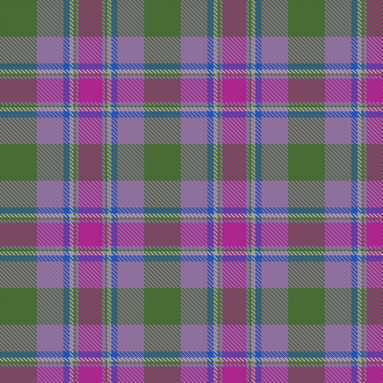 Tartan image: Dias-Parkinson, Mariana & Lindsay (Personal). Click on this image to see a more detailed version.