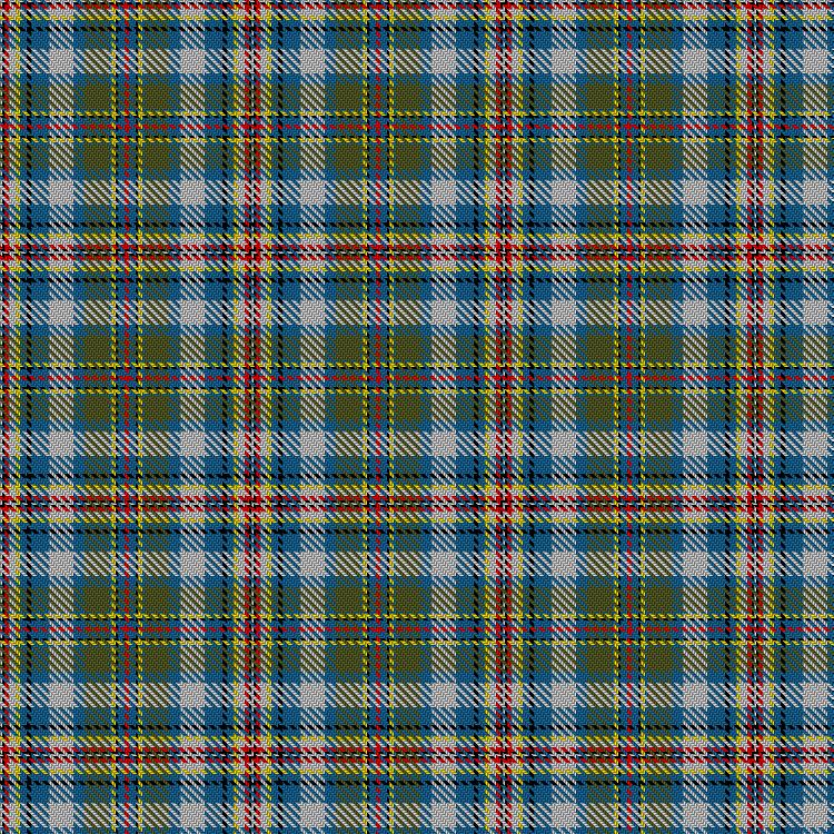 Tartan image: Somalo, J A & Family (Personal). Click on this image to see a more detailed version.