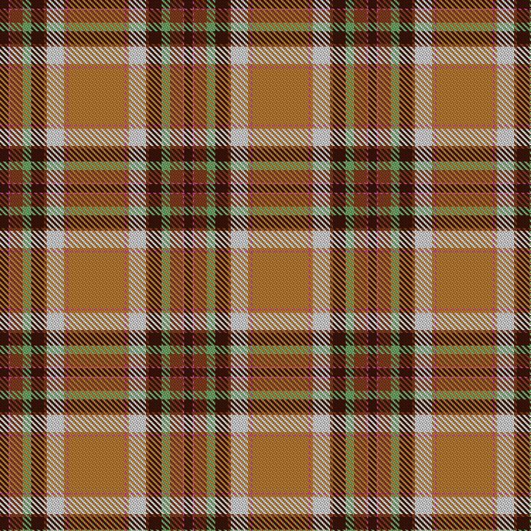 Tartan image: Dosluoglu, Taner & Ertugrul, Suna (Personal). Click on this image to see a more detailed version.