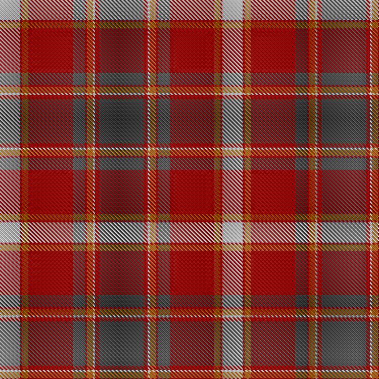 Tartan image: Glenburnie School. Click on this image to see a more detailed version.