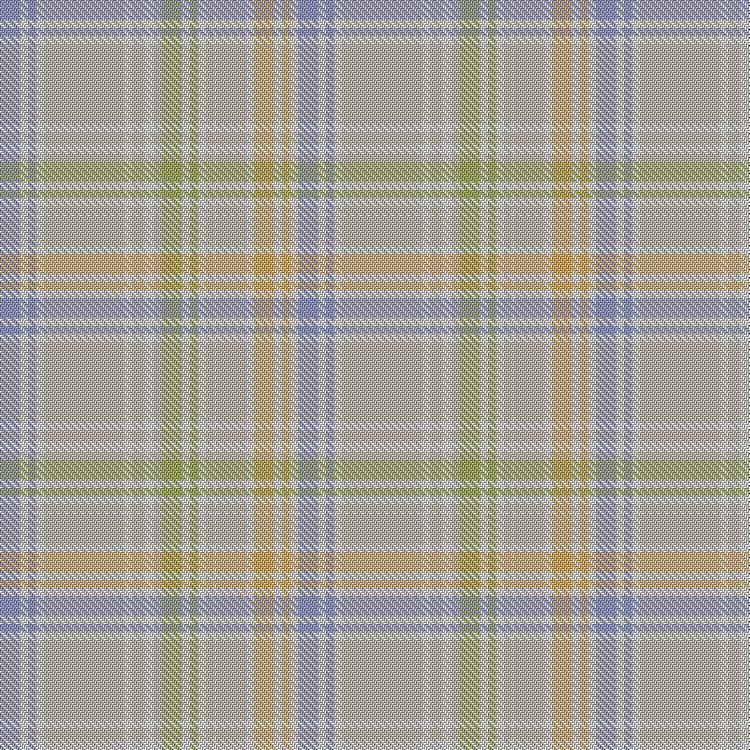 Tartan image: Fields of Endless High Summer. Click on this image to see a more detailed version.