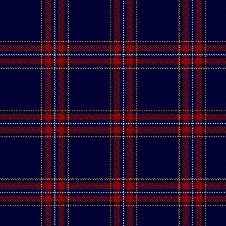 Tartan image: U.S. Immigration & Customs Enforcement. Click on this image to see a more detailed version.