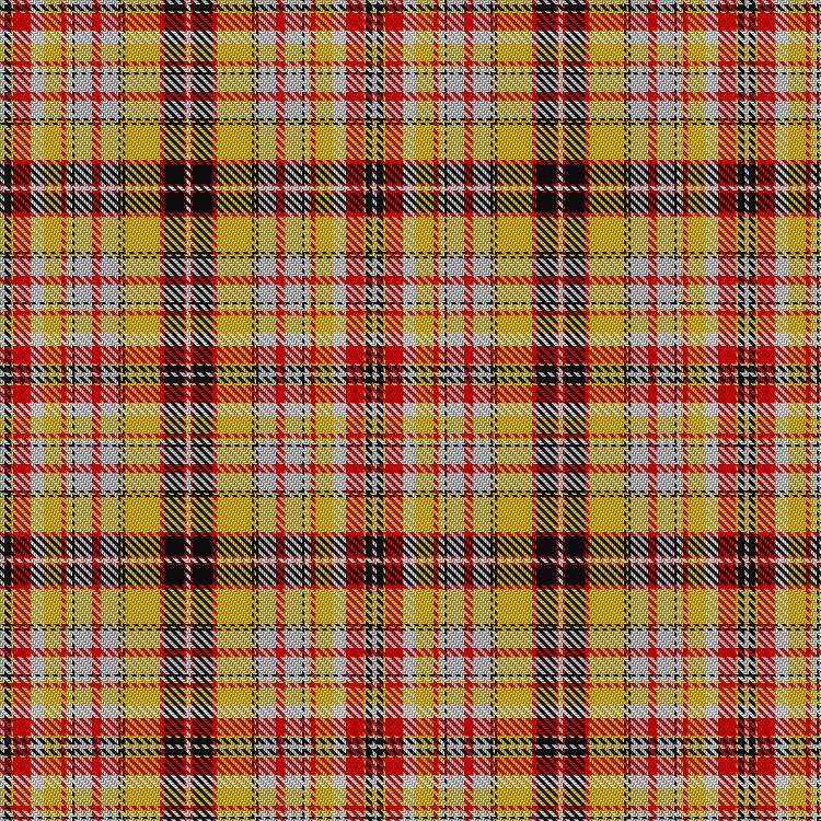 Tartan image: Turblin, Jean Pierre and Family (Personal). Click on this image to see a more detailed version.