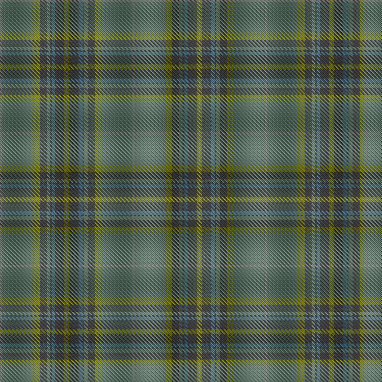 Tartan image: JR1404T Fen. Click on this image to see a more detailed version.
