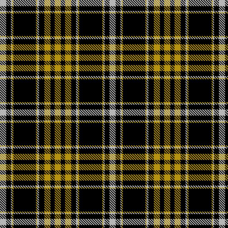 Tartan image: U.S. Army (2023). Click on this image to see a more detailed version.