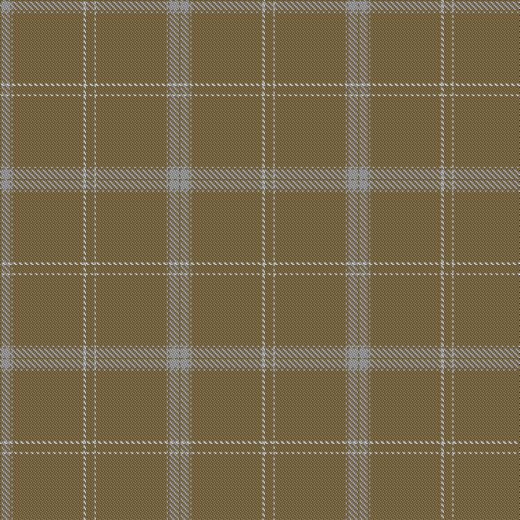Tartan image: Ivory Sands. Click on this image to see a more detailed version.