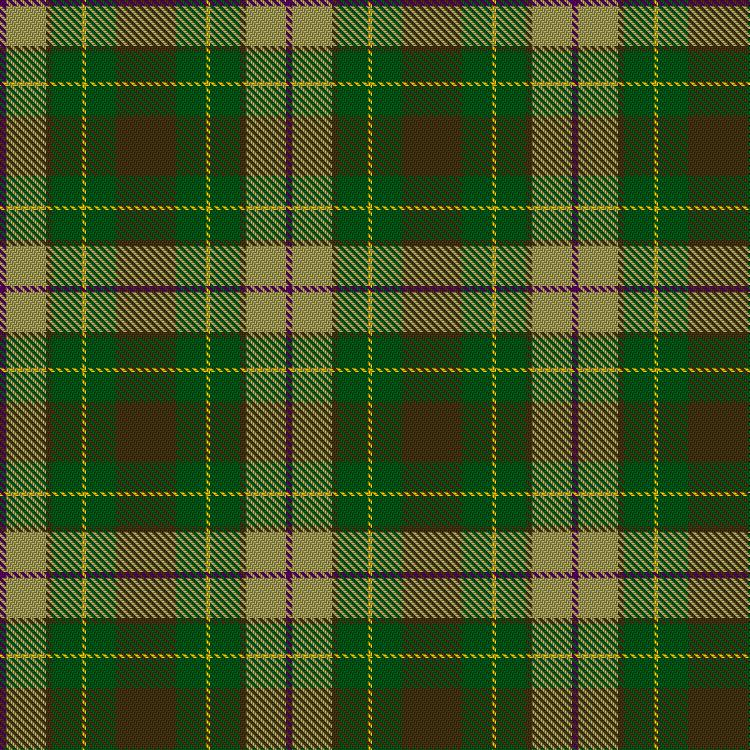Tartan image: Robin, Pierre and Family (Personal). Click on this image to see a more detailed version.