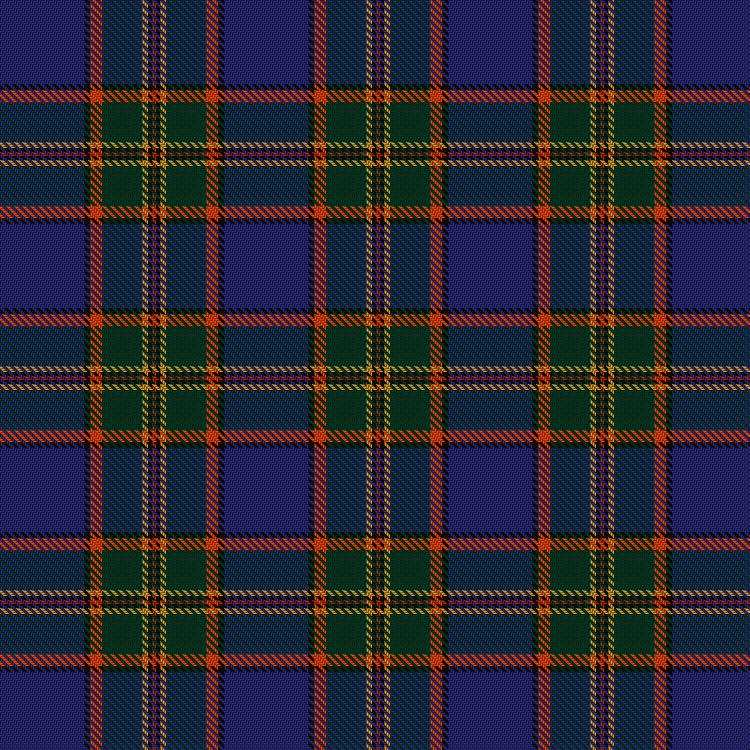 Tartan image: Schwartz, T & Family (Personal). Click on this image to see a more detailed version.