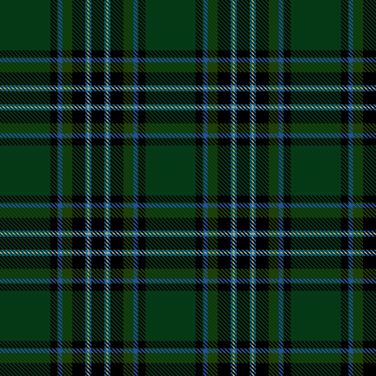 Tartan image: Flowers, Andrew and Family (Personal). Click on this image to see a more detailed version.