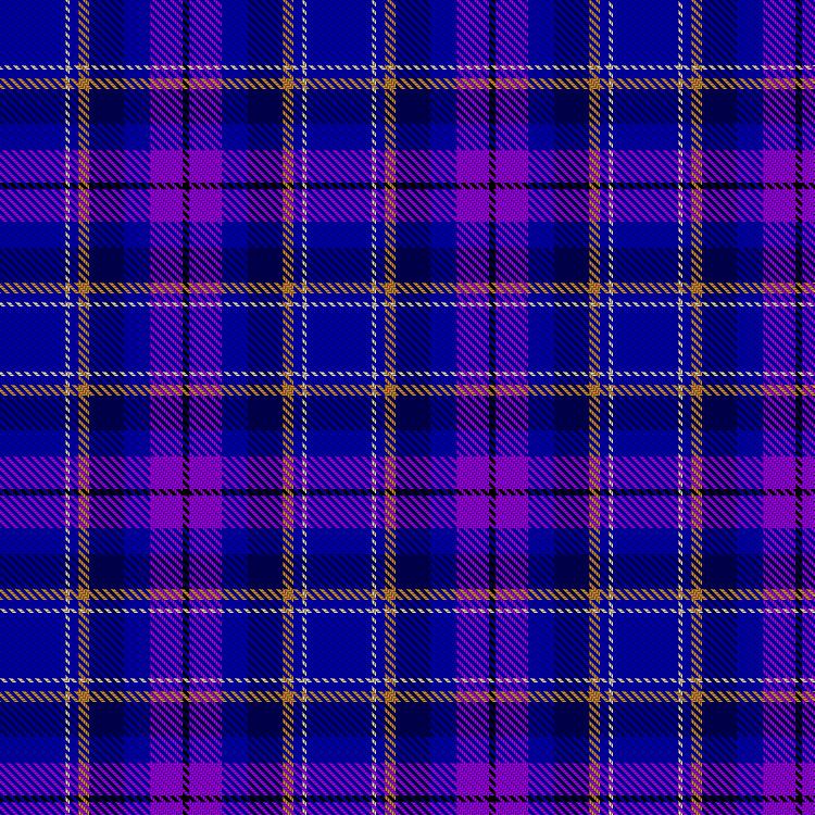 Tartan image: Singh Nijjar, Jagat (Personal). Click on this image to see a more detailed version.