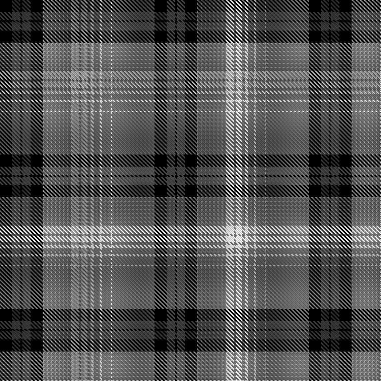 Tartan image: Lumière Prismatique. Click on this image to see a more detailed version.