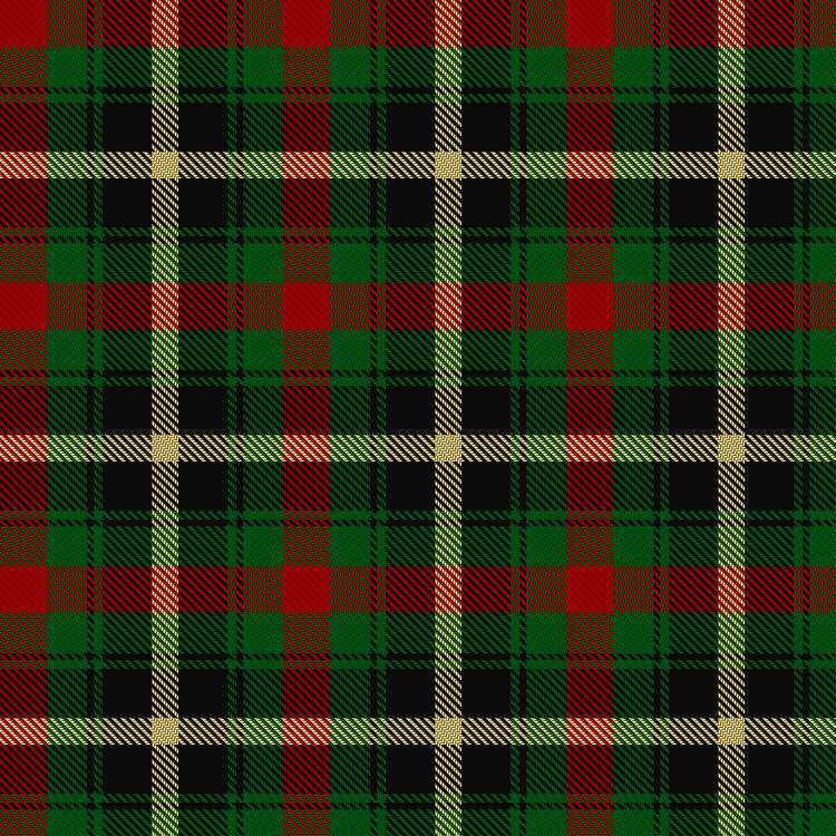 Tartan image: Ashton, N & Family (Personal). Click on this image to see a more detailed version.