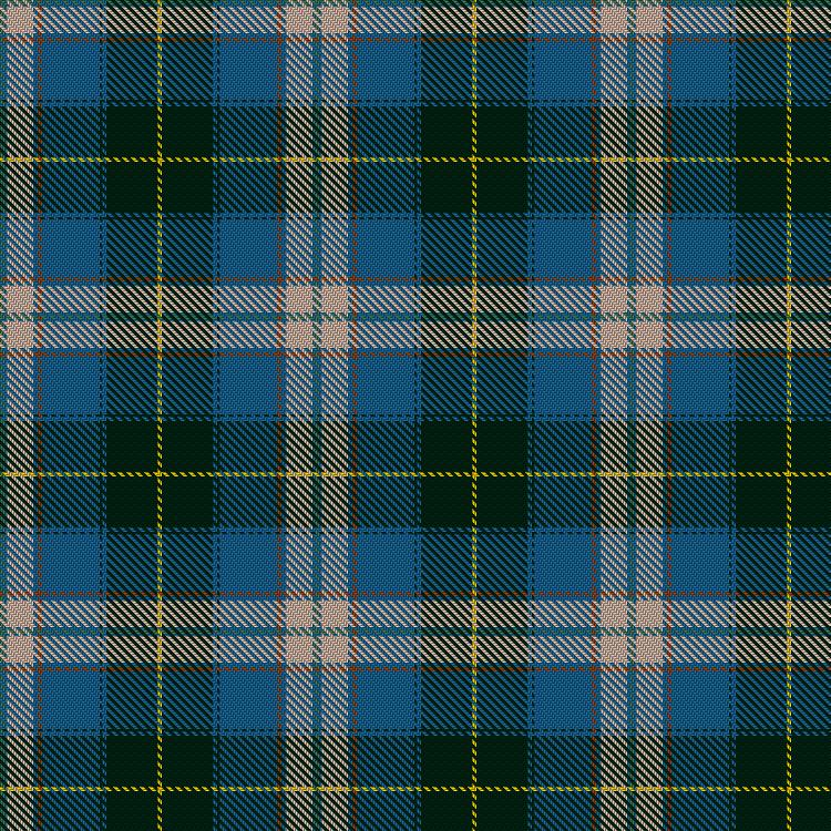 Tartan image: Stelnicki, Eric & Melissa (Personal). Click on this image to see a more detailed version.