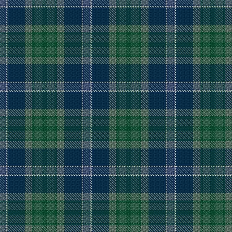 Tartan image: Plaidlife - Foley Winter. Click on this image to see a more detailed version.