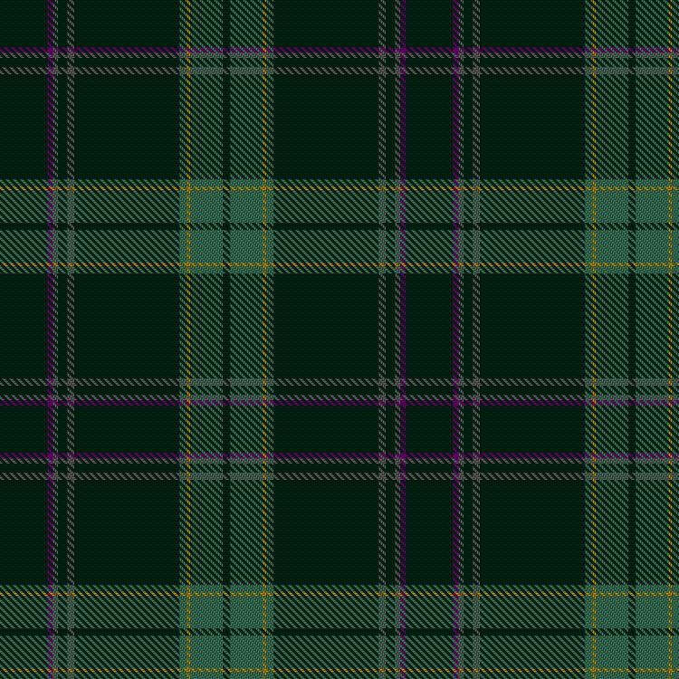 Tartan image: McComasky, Owen & Family (Personal). Click on this image to see a more detailed version.