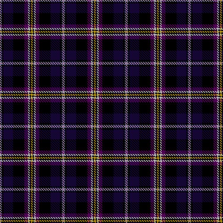 Tartan image: Pride Of Enby. Click on this image to see a more detailed version.