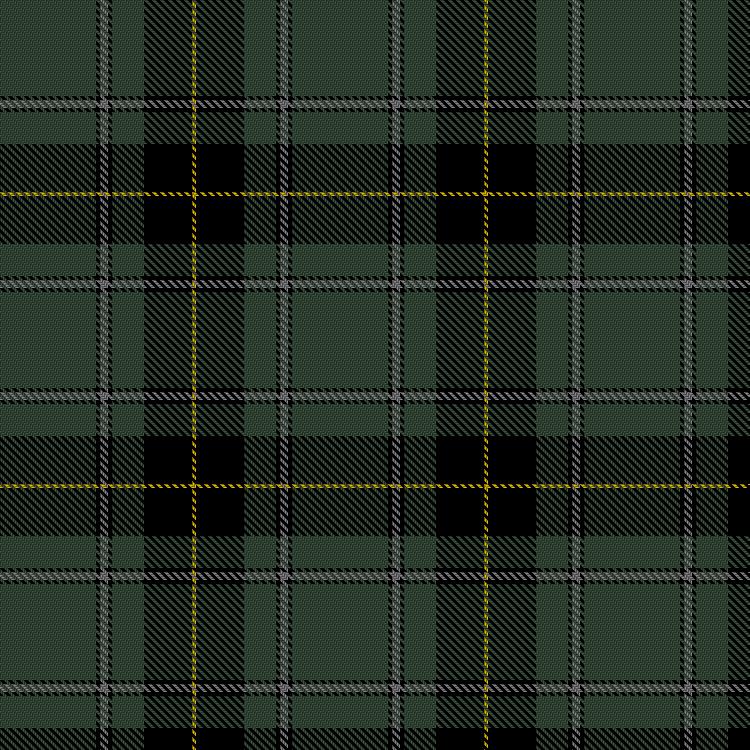 Tartan image: Oak Green. Click on this image to see a more detailed version.