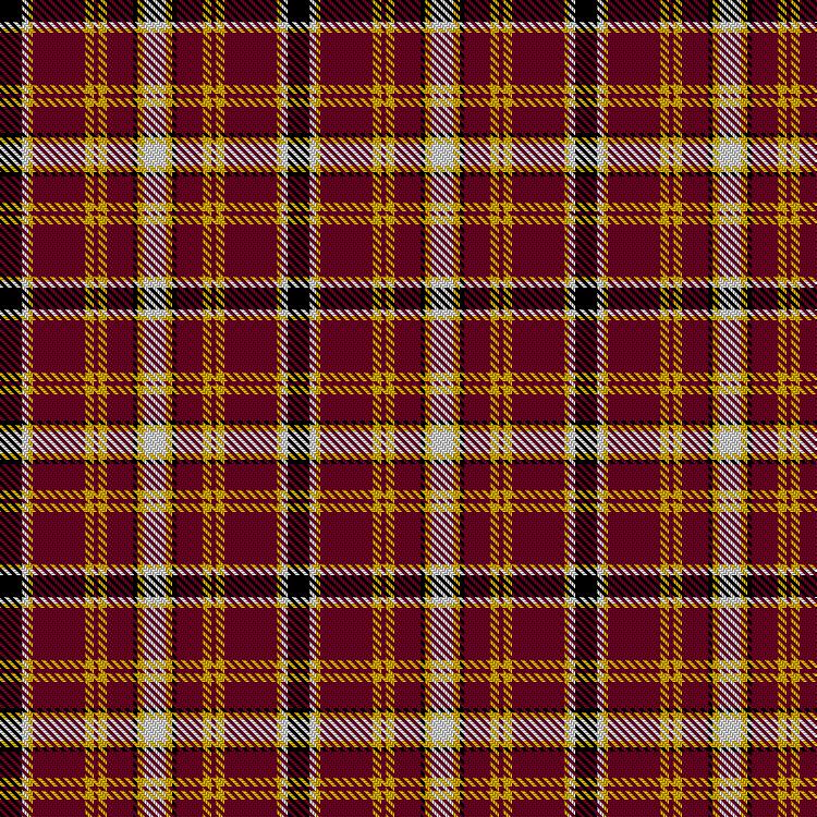 Tartan image: Missouri Military Academy. Click on this image to see a more detailed version.