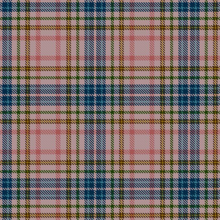 Tartan image: Pink Castle. Click on this image to see a more detailed version.